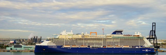 Navire de bétail au port