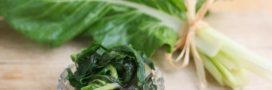 Feuilles vs côtes de blettes : comment bien les cuisiner séparément ? Feuilles vs côtes de blettes : comment bien les cuisiner séparément ?