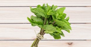 Menthe : 20 usages malins en cuisine, santé et maison