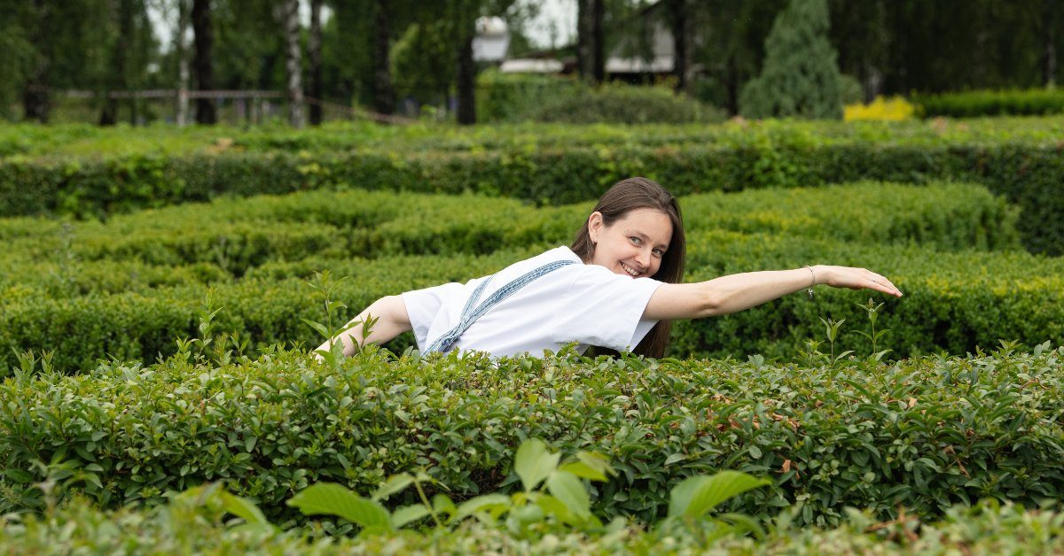 Quel arbuste de haie choisir pour votre jardin ?