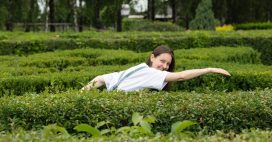 Quel arbuste de haie choisir pour votre jardin ?