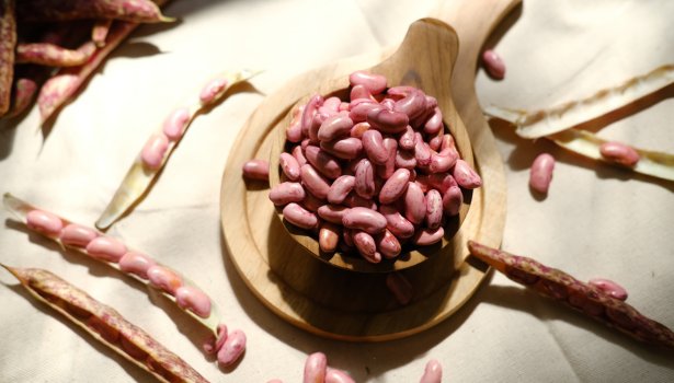Graines d'haricots Azuki ou de haricots rouges isolées sur fond blanc.