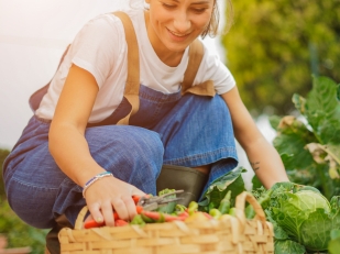 Que faire au jardin ce mois-ci  Suivez le guide