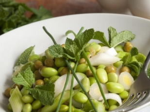 La menthe : trésor en cuisine La menthe : trésor en cuisine