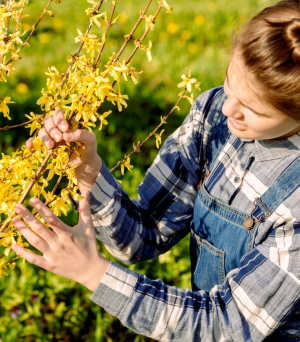  Printemps au jardin : 7 erreurs trop souvent commises avec l’arrivée des beaux jours