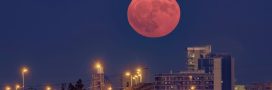 Une « Lune rouge » spectaculaire... mais discrète dans le ciel français