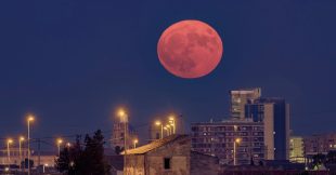 Une « Lune rouge » spectaculaire... mais discrète dans le ciel français