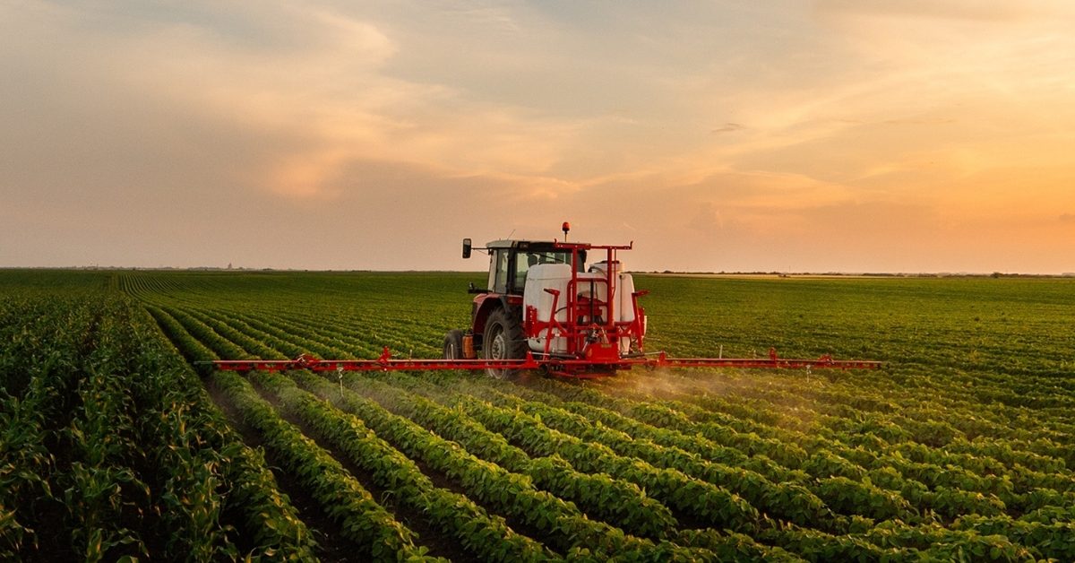 Eau, loups, pesticides, importations : la loi d’urgence qui pourrait changer l’agriculture française