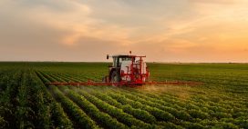 Eau, loups, pesticides, importations : la loi d’urgence qui pourrait changer l’agriculture française