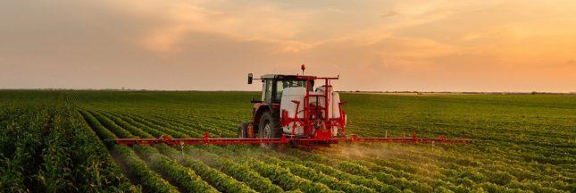 pulvérisation de pesticide dans un champs