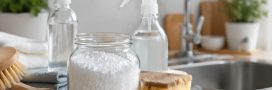 Cristaux de soude : 12 usages malins pour tout nettoyer