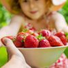 Conserver les fraises plus longtemps : astuces anti-gaspi