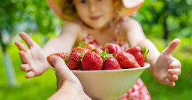 Conserver les fraises plus longtemps : astuces anti-gaspi