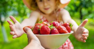 Conserver les fraises plus longtemps : astuces anti-gaspi
