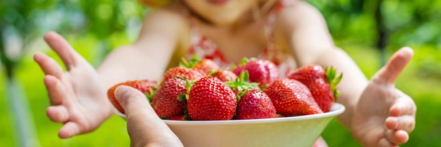 Comment conserver les fraises plus longtemps : les bons gestes pour éviter le gaspillage