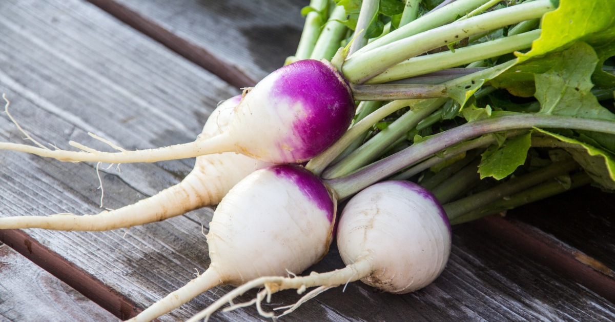 navets jeunes de printemps