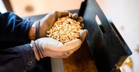 Pellets : ce danger invisible dans votre maison que l’Anses alerte Pellets : ce danger invisible dans votre maison que l’Anses alerte