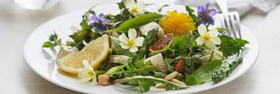 5 idées de salades aux herbes sauvages : saveurs et bienfaits au naturel