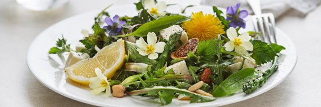 Salades aux herbes sauvages : 5 recettes