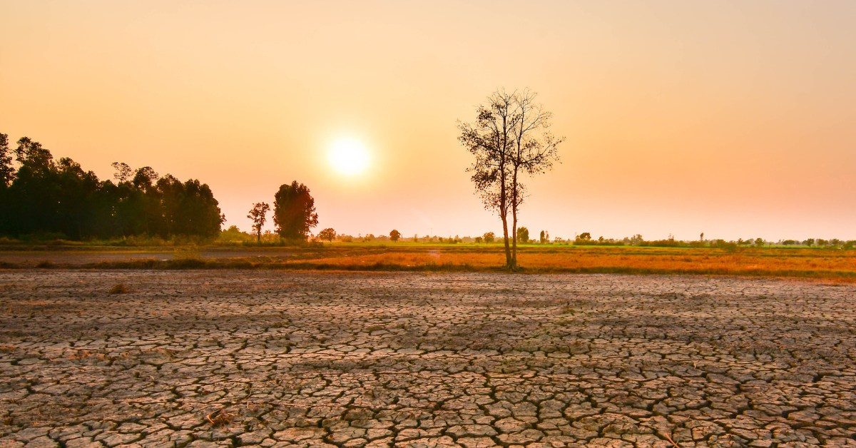 Super El Niño : vers des records de chaleur en 2026-2027