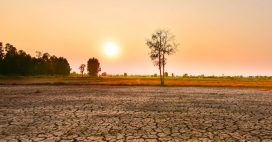 Super El Niño : vers des records de chaleur en 2026-2027