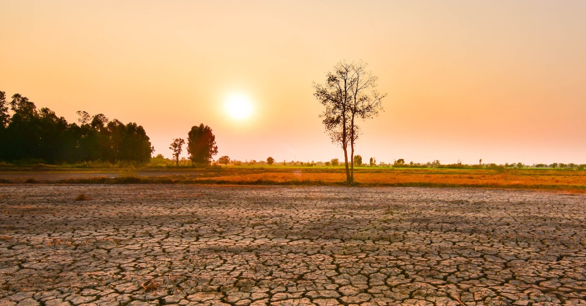 Super El Niño : vers des records de chaleur en 2026-2027