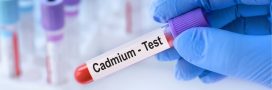 Cadmium : son dépistage bientôt remboursé par l&rsquo;Assurance maladie
