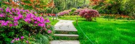 Aménager son extérieur face au dérèglement climatique : les bons travaux pour un jardin durable et confortable