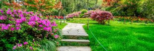Aménager son extérieur face au dérèglement climatique : les bons travaux pour un jardin durable et confortable