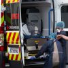 Hantavirus : pourquoi ce n'est pas comparable à la crise du Covid-19