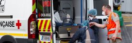 Hantavirus : pourquoi ce n&rsquo;est pas comparable à la crise du Covid-19