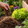 Vos cheveux, l'atout caché de votre jardin ?