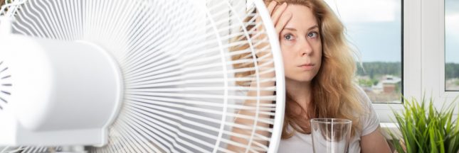 canicule, femme a chaud au bureau, elle utilise un ventilateur