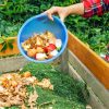 Moucherons dans le compost : l'astuce naturelle qui marche