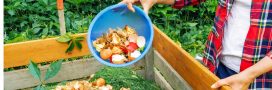 Moucherons dans le compost : l'astuce naturelle qui marche