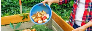 Moucherons dans le compost : l'astuce naturelle qui marche