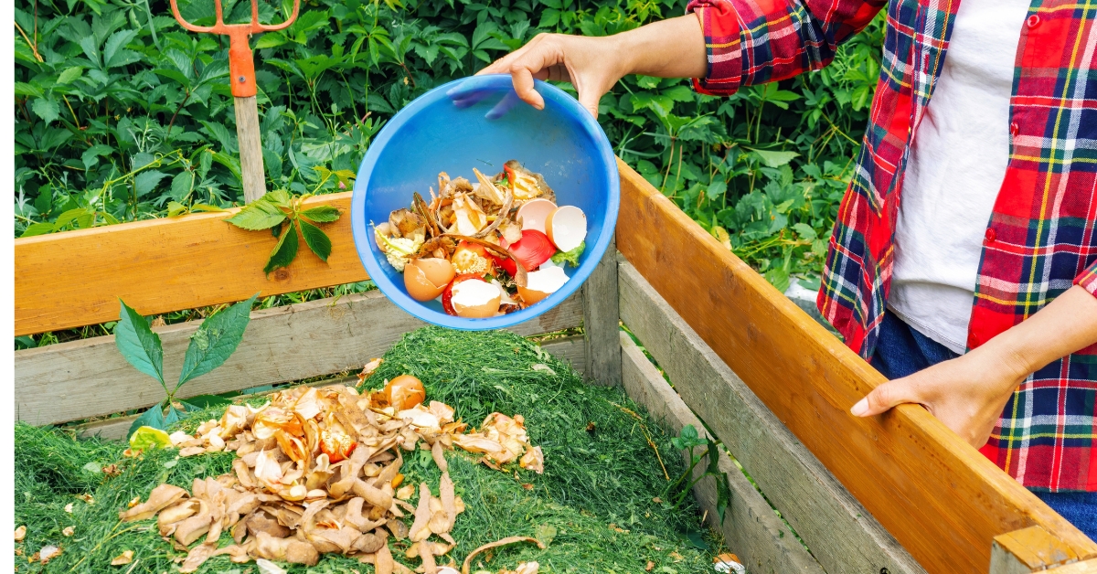 Moucherons dans le compost : l'astuce naturelle qui marche