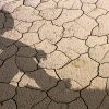 Climat : pourquoi le monde détourne les yeux malgré l'urgence