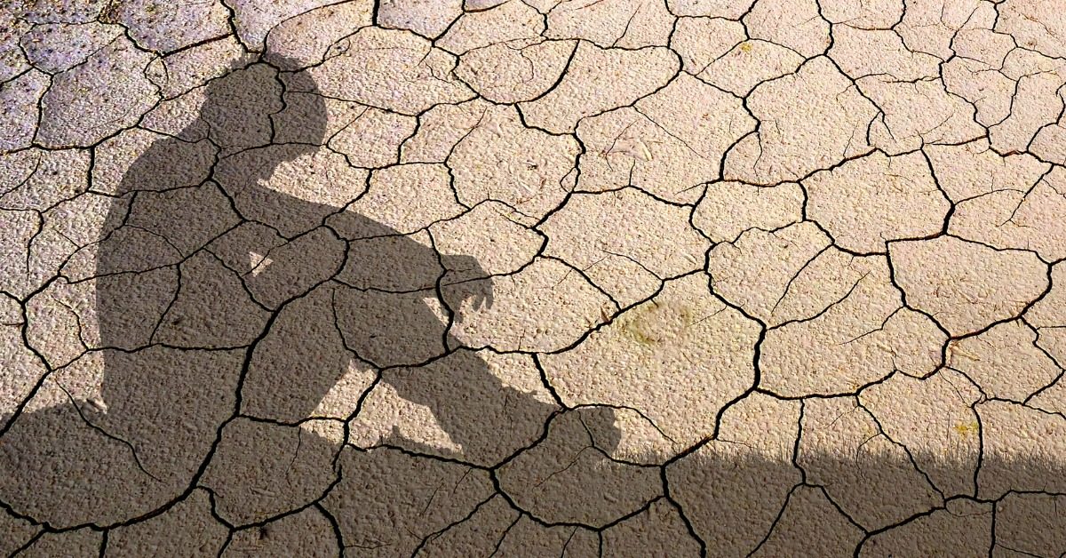Climat : pourquoi le monde détourne les yeux malgré l’urgence Climat : pourquoi le monde détourne les yeux malgré l’urgence