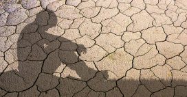 Climat : pourquoi le monde détourne les yeux malgré l’urgence
