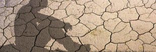 Climat : pourquoi le monde détourne les yeux malgré l'urgence Climat : pourquoi le monde détourne les yeux malgré l'urgence
