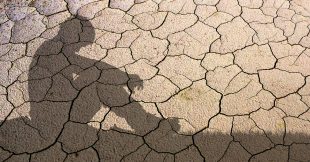 Climat : pourquoi le monde détourne les yeux malgré l'urgence