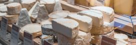 Fromages : comment respecter la saisonnalité et diminuer l'empreinte carbone ?