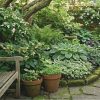 L'ombre au jardin : et si le vert était la plus vibrante des couleurs ?