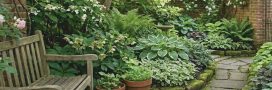 L'ombre au jardin : et si le vert était la plus vibrante des couleurs ?