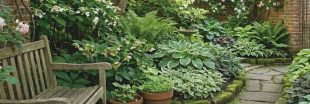 L'ombre au jardin : et si le vert était la plus vibrante des couleurs ?