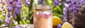 Limonade de glycine : la recette naturelle et gratuite