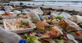 Océan : quels sont les premiers responsables de la pollution plastique ?