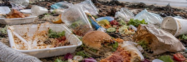 Une vaste étude mondiale pointe du doigt les emballages alimentaires et les bouteilles plastiques
