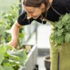 Potager de balcon : 5 légumes inratables pour débuter en ville